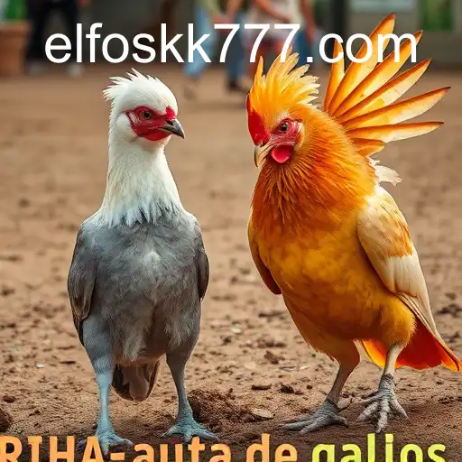 Rinha de galos
